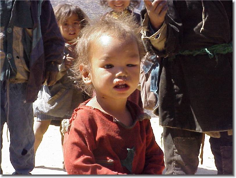 Click for the original image